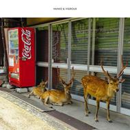 Peau Froide, Leger Soleil