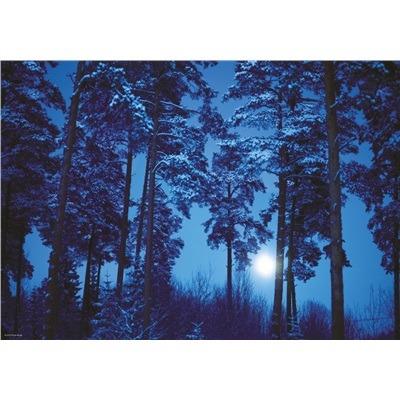 Puzzle 500 Pezzi. Luna Piena - 3