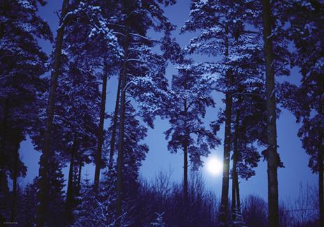 Puzzle 500 Pezzi. Luna Piena - 4