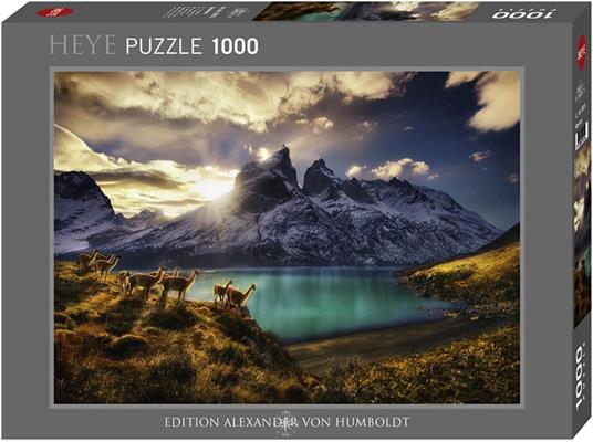 Puzzle 1000 pz - Guanacos, AvH