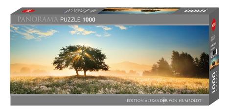 Puzzle 1000 pz Panorama - Play of Light, AvH