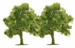 Alberi 2 Pezzi 75 mm H0 Scale 1:87 Diorama Model RIPB 6843