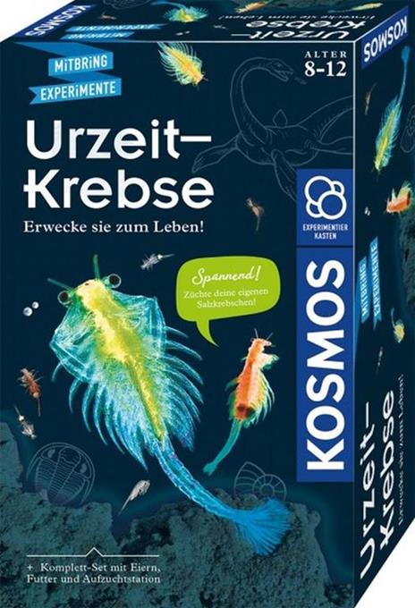 Kosmos 65787
