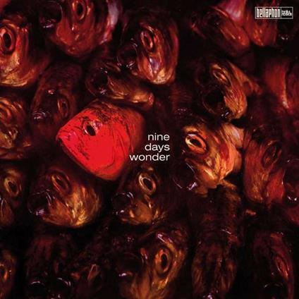 Nine Days Wonder - Vinile LP di Nine Days Wonder