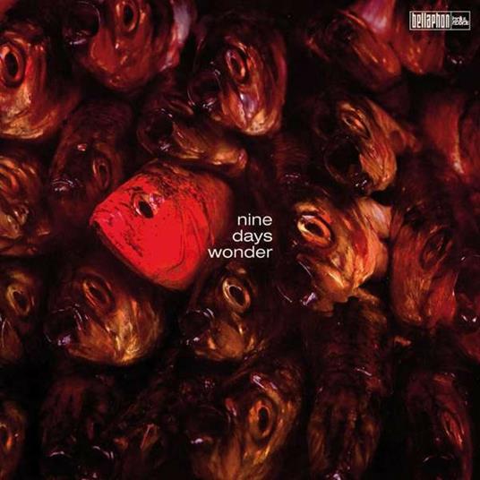 Nine Days Wonder - Vinile LP di Nine Days Wonder