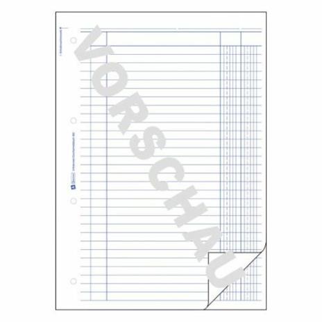 Avery 450 libro contabile Blu, Bianco - 3