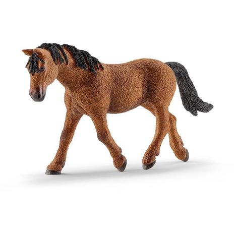 Cavalla Bashkir Curly Schleich