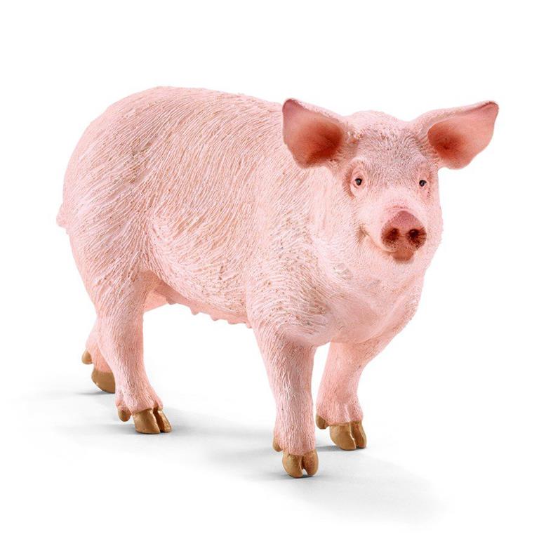 ibs