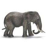 Elefante Africano femmina