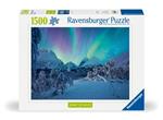 Ravensburger, Puzzle 1500 pezzi, Lo spettacolo dell'Artico