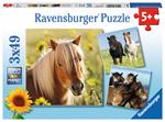 3 x 49 Teile. Liebe Pferde. Ravensburger 4005556080113 puzzle 49 pezzo(i)