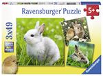 Teneri Coniglieti Puzzle 3x49 pezzi Ravensburger (08041)