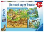 3 x 49 Teile. Tiere in ihren Lebensräumen. Ravensburger 00.008.050 puzzle Puzzle con tessere 49 pezzo(i)