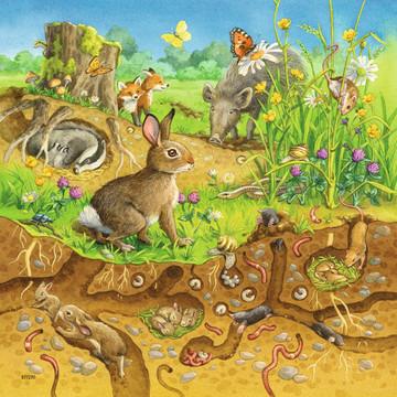 3 x 49 Teile. Tiere in ihren Lebensräumen. Ravensburger 00.008.050 puzzle Puzzle con tessere 49 pezzo(i) - 4