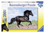 Black Stallion Puzzle 200 pezzi Ravensburger (12803)