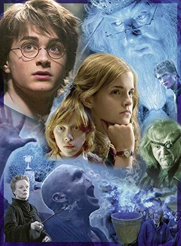 Ravensburger - Puzzle Harry Potter in Hogwarts, 500 Pezzi, Puzzle Adulti - 4