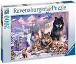 Ravensburger - Puzzle Lupi nella neve, 2000 Pezzi, Puzzle Adulti