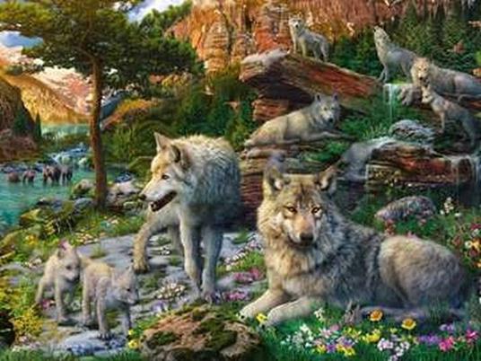 Ravensburger - Puzzle Lupi in primavera, 1500 Pezzi, Puzzle Adulti - 2