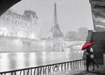 Parigi e Senna Puzzle 1000 pezzi Ravensburger (19471)