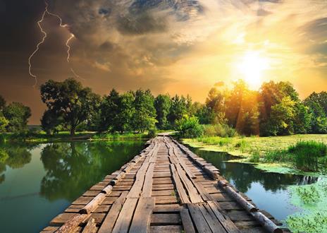 Ravensburger - Puzzle Luce mistica, Collezione Nature Edition, 1000 Pezzi, Puzzle Adulti - 4