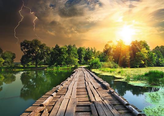Ravensburger - Puzzle Luce mistica, Collezione Nature Edition, 1000 Pezzi, Puzzle Adulti - 4