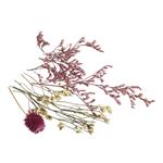 Mazzo di fiori secchi rosa