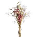 Mazzo di fiori secchi verdi e rosa