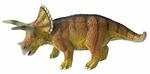 Museum. Triceratops Museum Line
