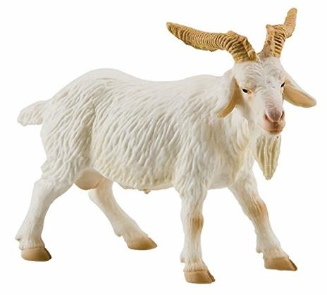 Fattoria. Billy Goat