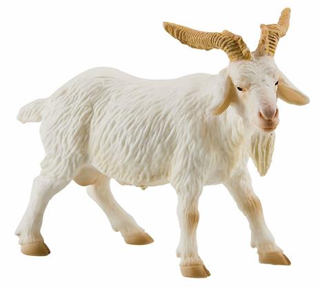 Fattoria. Billy Goat - 3