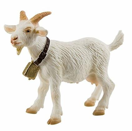 Fattoria. Goat