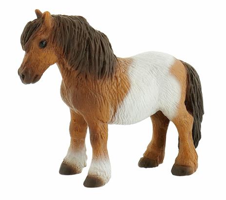 Cavalli. Shetland Pony - 3