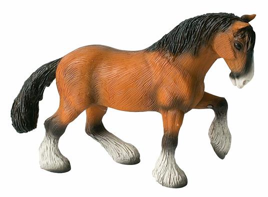 Cavalli. Shire Horse Gelding - 3