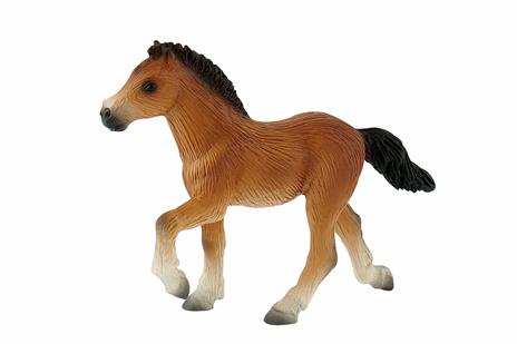 Icelandic Foal - 2