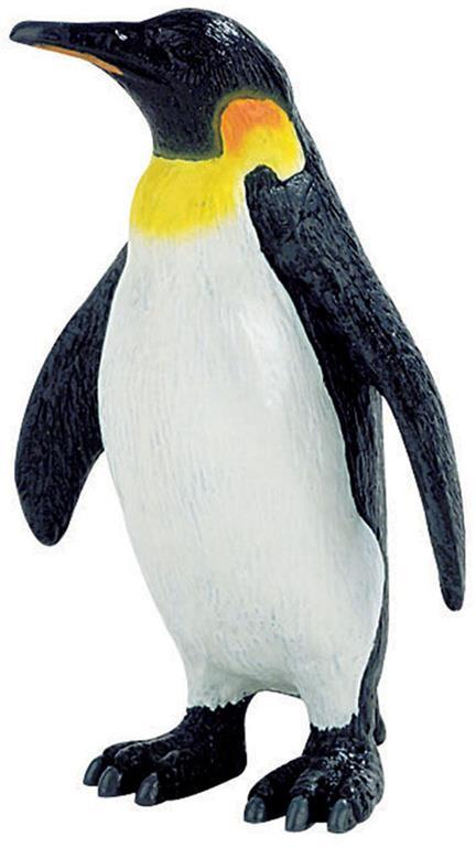 Pinguino imperatore - 2