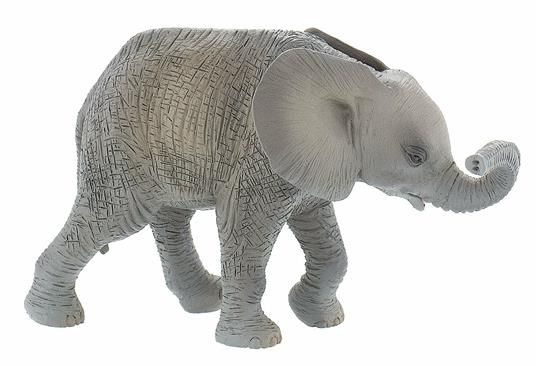 Selvaggi. African Elephant Calf - 3
