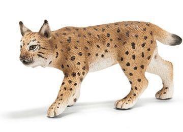 Lince