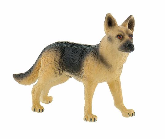 Cani. German Shepherd Rex - 4