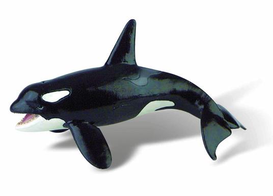 Orca marina - 2