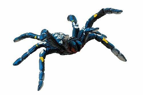 Blue Ornament Tarantula