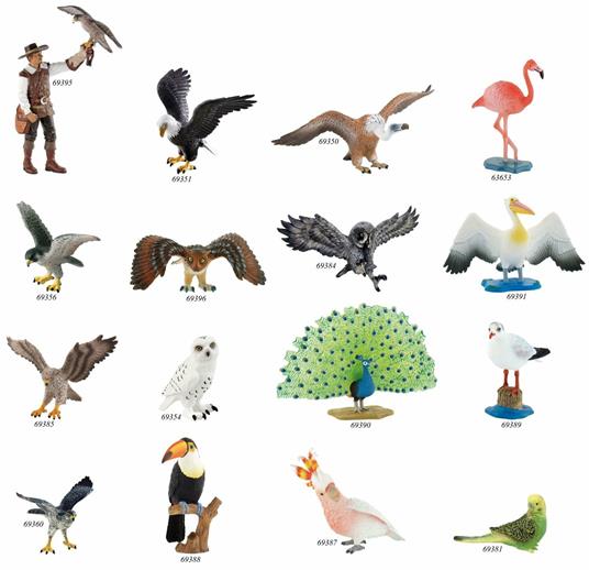 Uccelli. Peacock - 4