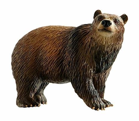 Brown Bear