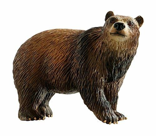 Brown Bear