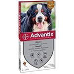 Advantix Spot On per Cani + 40Kg 4 Pipette