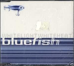 White Light White Heat - CD Audio Singolo di Blue Fish