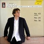 Sinfonie vol.20 - CD Audio di Franz Joseph Haydn,Thomas Fey