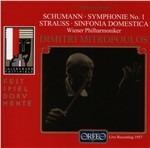 Sinfonia n.1 / Sinfonia domestica