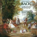 Sonaten Bwv1001, 1003