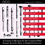 Curious Collection Flute