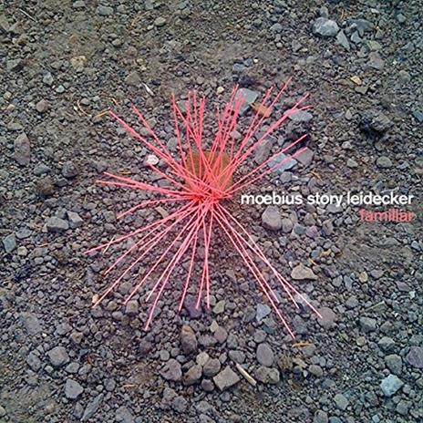 Familiar - CD Audio di Moebius,Story,Jon Leidecker